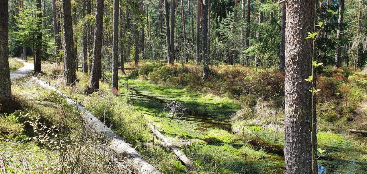 Eco Domek Z Duzym Ogrodem I Widokiem 穆扎希赫尔 外观 照片