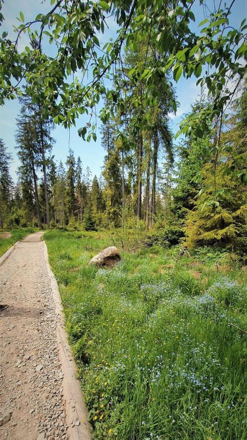 Eco Domek Z Duzym Ogrodem I Widokiem 穆扎希赫尔 外观 照片